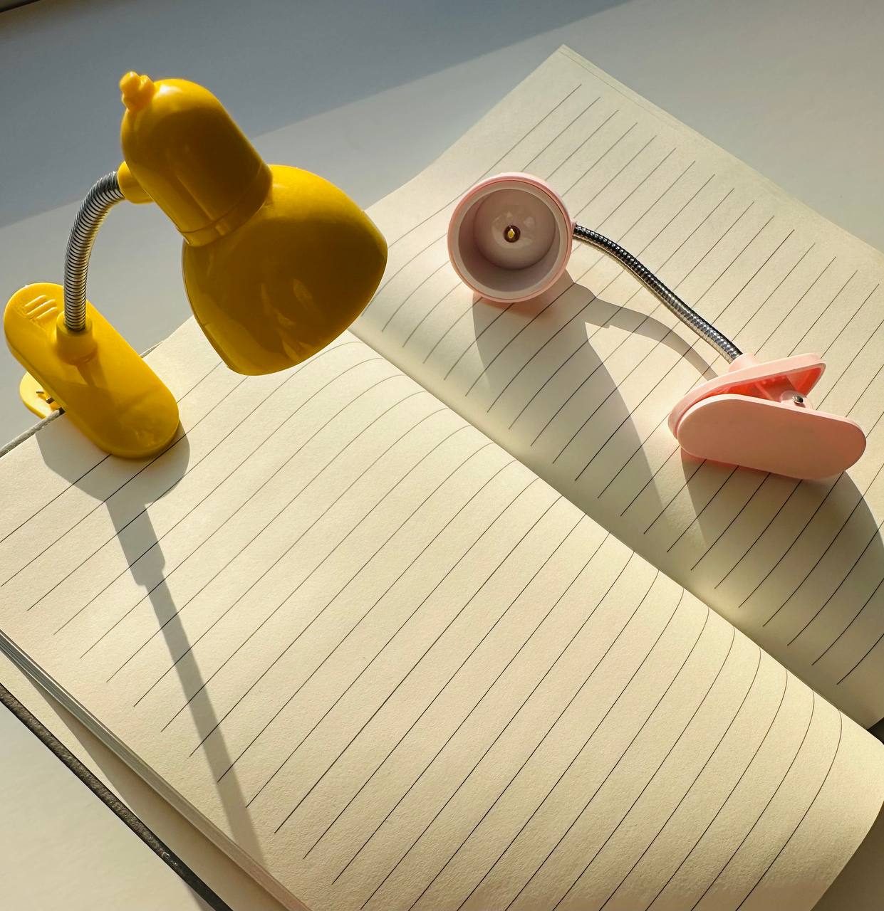 Mini Clip-On Reading Light